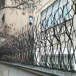 حفاظ شاخ گوزنی در هشتگرد