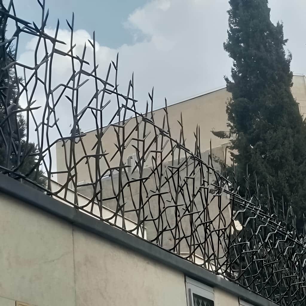 حفاظ شاخ گوزنی با شاخه های درهم تنیده