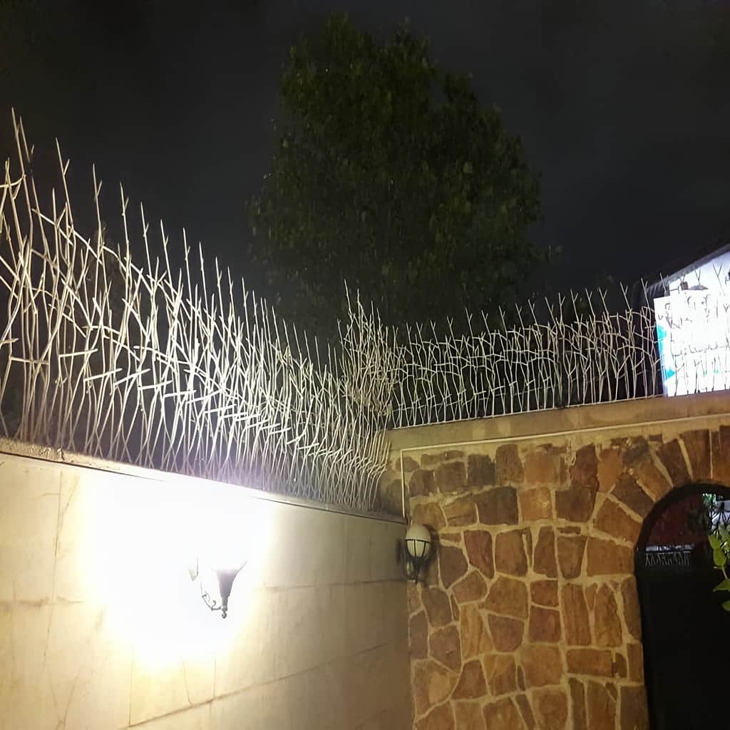 حفاظ شاخ گوزنی با متریال مناسب برای دوام