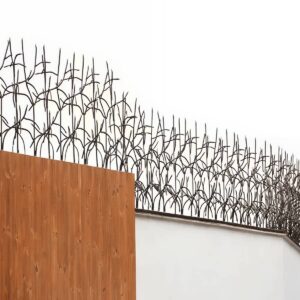 حفاظ شاخ گوزنی خاردار برای ایمن سازی دیوار