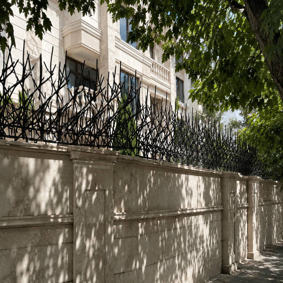 تعریف حفاظ شاخ گوزنی ویژگی ها و مزایا