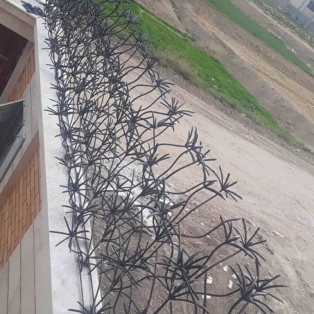 حفاظ نخل مرداب با پوشش رنگی