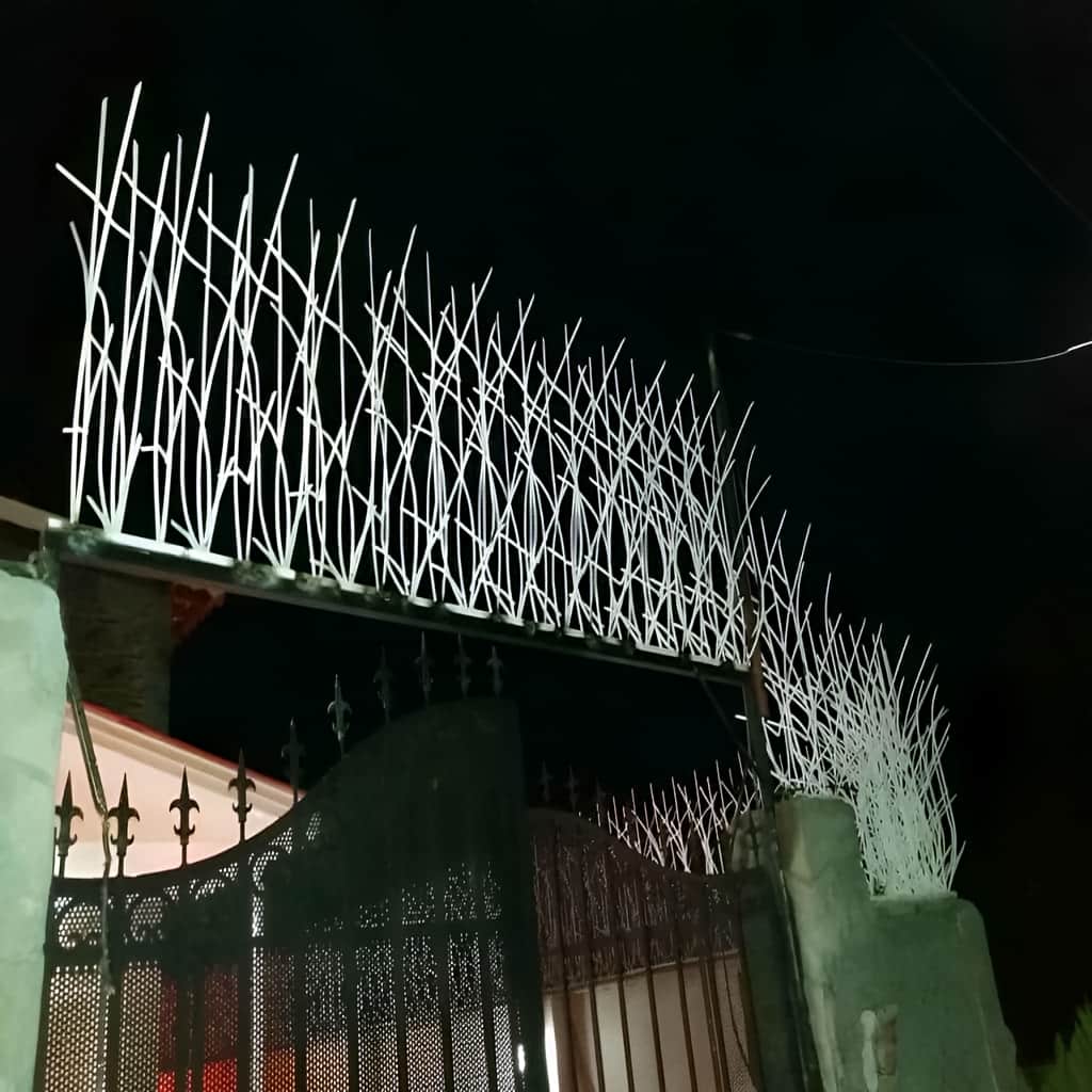 حفاظ نیزار با پوشش رنگی