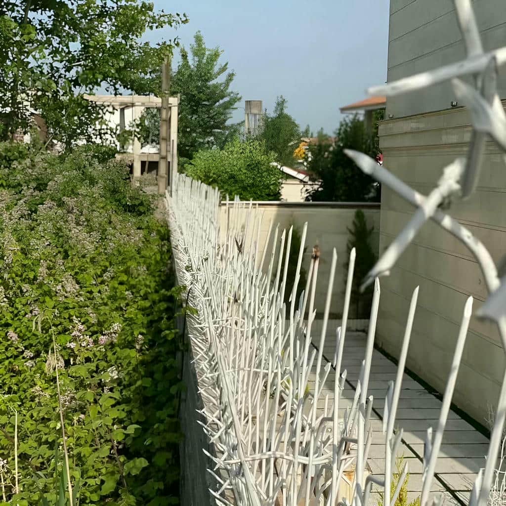 حفاظ دیوار شاخ گوزنی بر فراز دیوار آجری