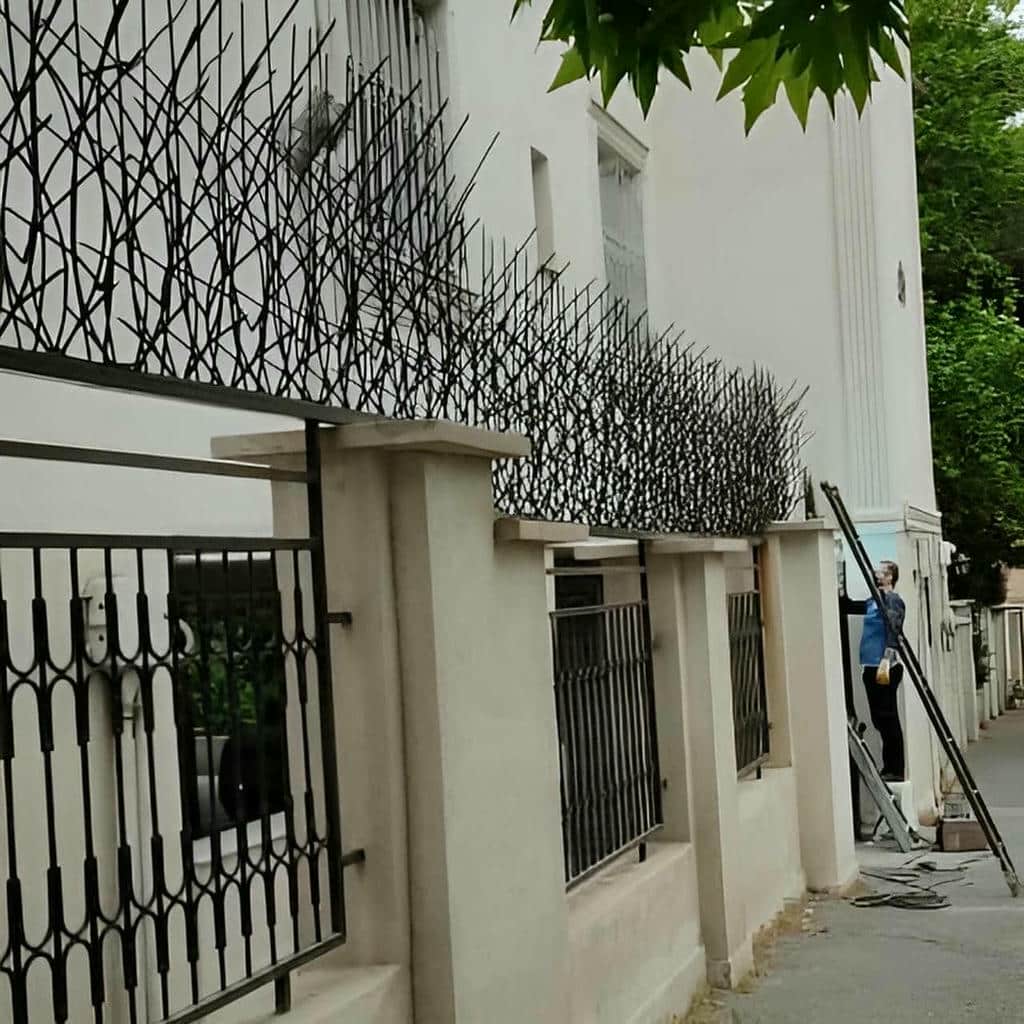 حفاظ دیوار شاخ گوزنی مشکی بر دیوار مجتمع کرج