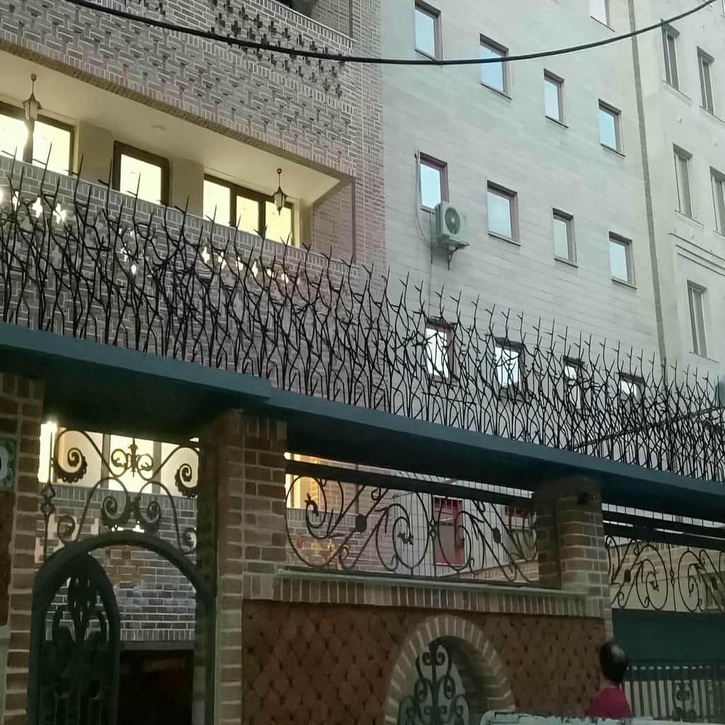 حفاظ دیوار شاخ گوزنی مشکی روی حیاط اصفهان