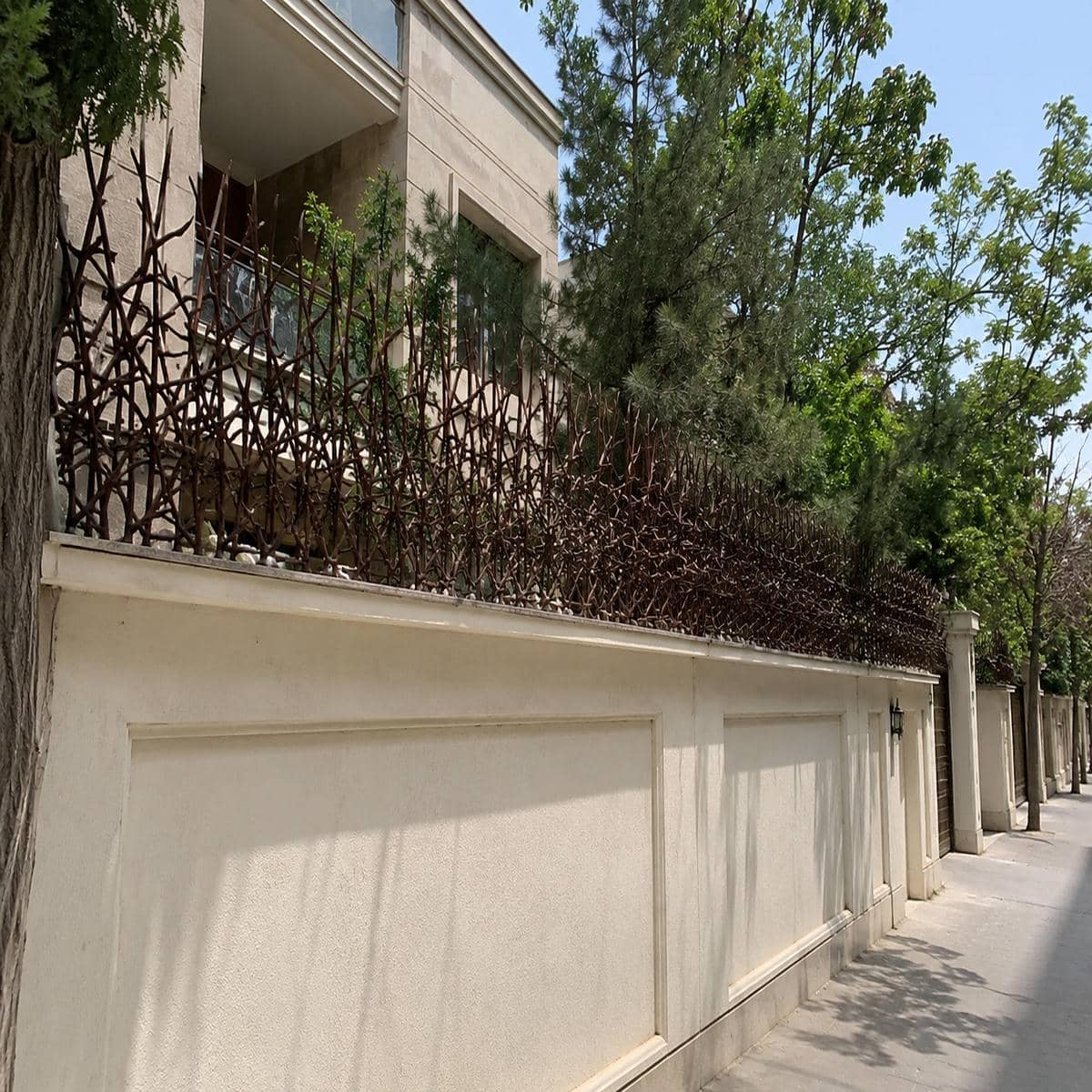 حفاظ دیوار شاخ گوزنی مشکی روی حیاط سمنان