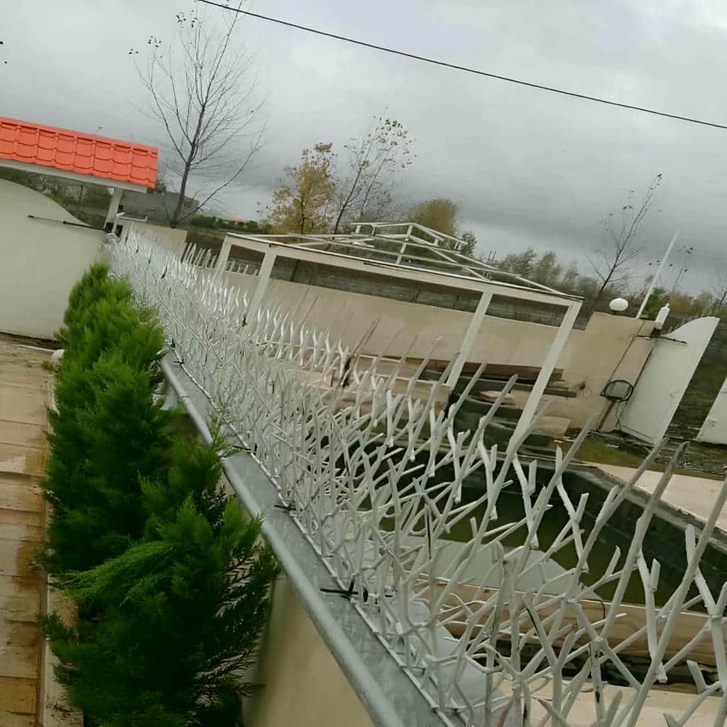 نمای حفاظ سرنیزه ای روی دیوار حیاط در تهران