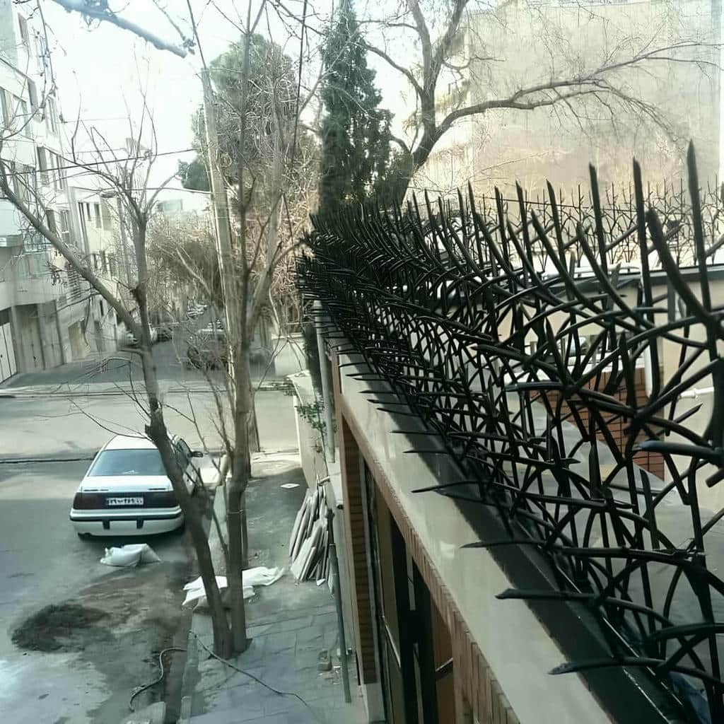 حفاظ دیوار شاخ گوزنی کنار درب حیاط استان قزوین مرکز فروش حفاظ دیوار برای امنیت حیاط در استان قزوین